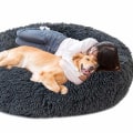 Orthopedic Dog Beds Combined With Magnet Wave Therapy Can Enhance Your Dogs Health