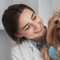 What is pet wellness coverage?