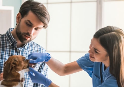 How often should i take my pet to the vet?